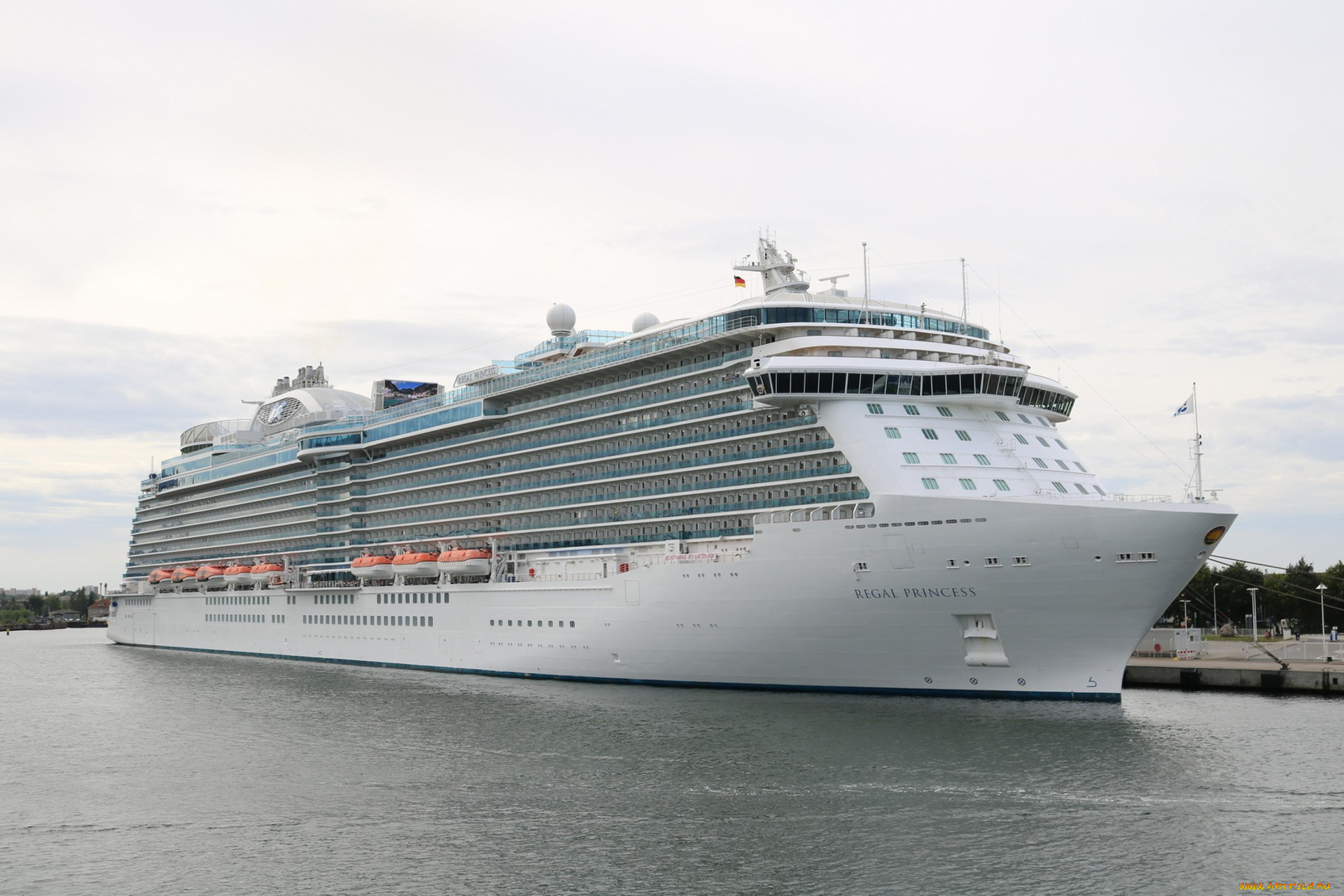 regal princess, , , , 